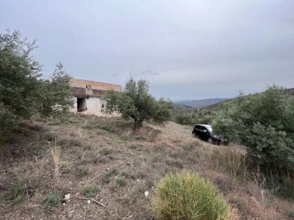 Terreno en carretera de Canillas de Aceituno a Alcaucín, 28 Dsdiseminados photo 1