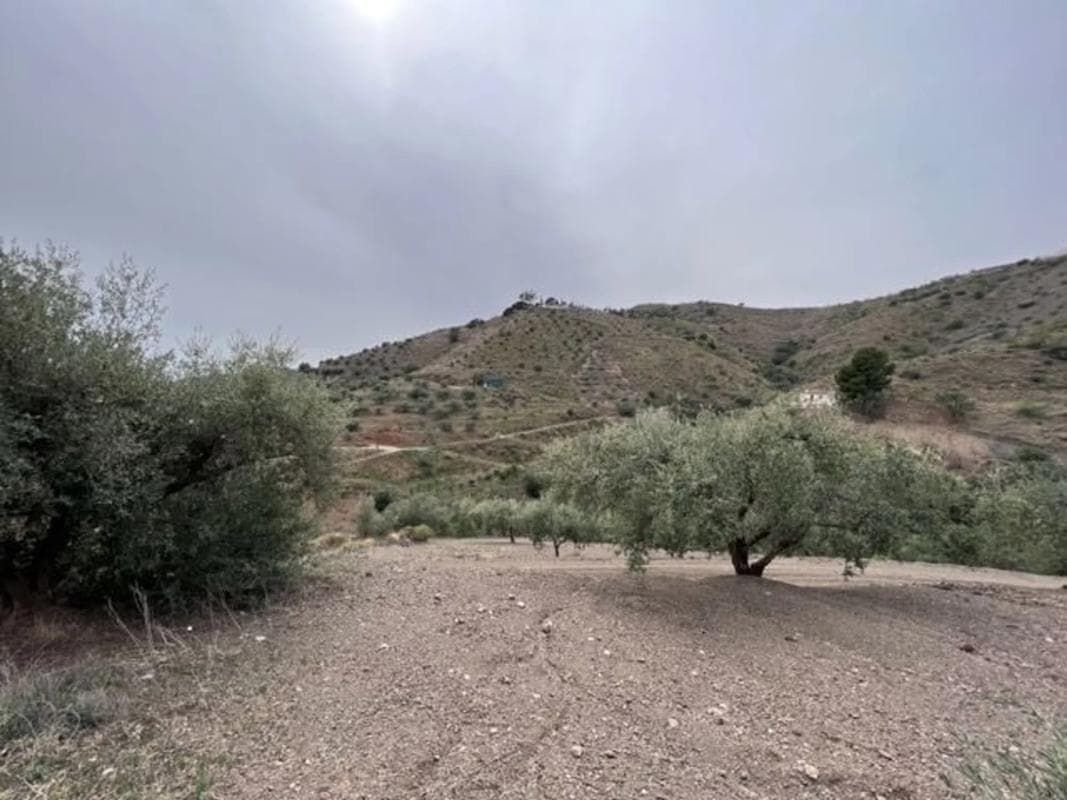 Terreno en venta en Canillas de Aceituno, Malaga photo 4