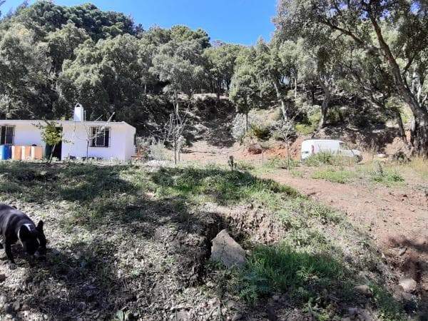 Terreno en carretera Ma-8301, km 1 thumbnail 1