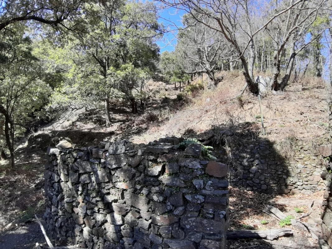 Terreno en venta en Jubrique, Malaga photo 5