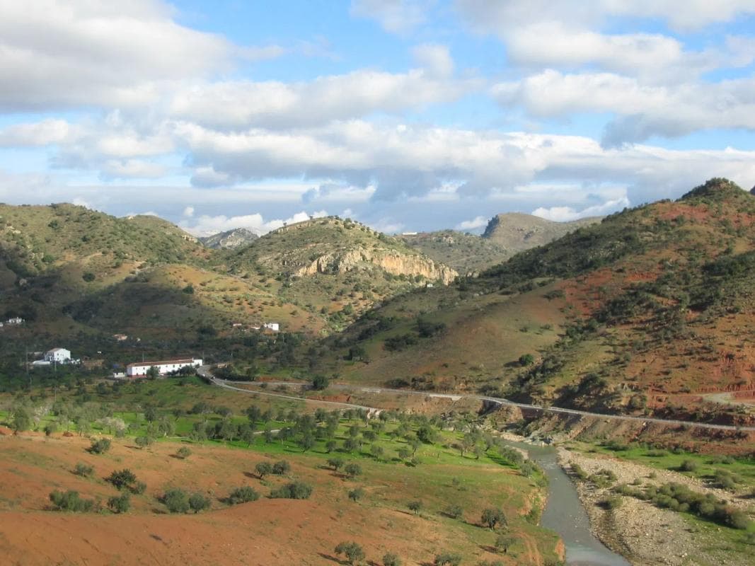 Terreno en venta en Almogía, Malaga photo 2
