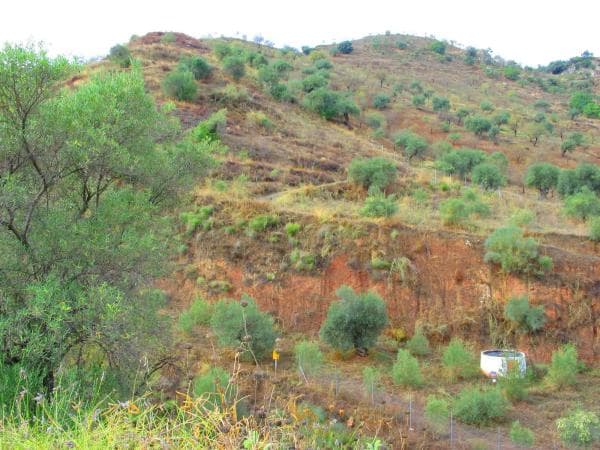 Terreno en carretera del Río, km 3 thumbnail 2