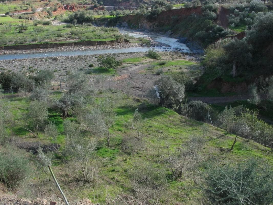 Terreno en venta en Almogía, Malaga photo 4