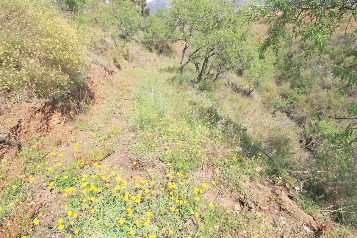 Terreno en venta en Mijas, Malaga photo 3