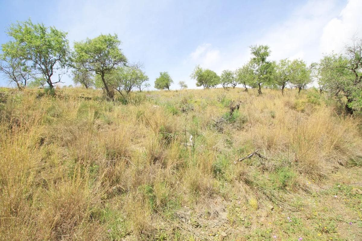 Terreno en venta en Mijas, Malaga photo 4
