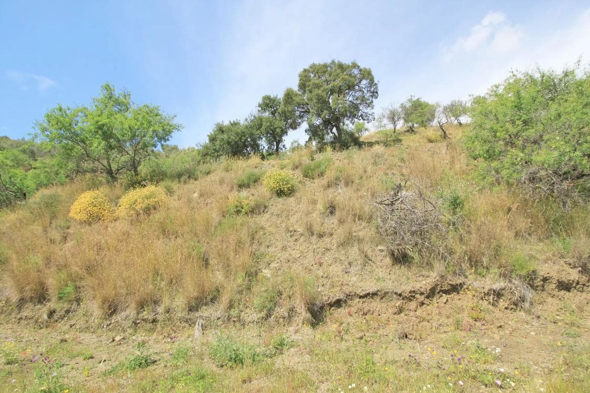 Terreno en venta en Mijas, Malaga photo 5