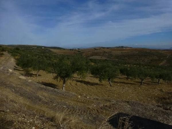 Terreno en camino de Valentín, km 2 thumbnail 1