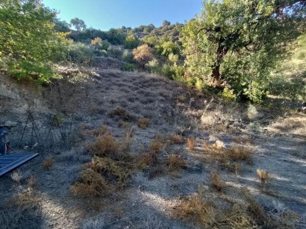 Terreno en carril de la Breña, km 8 photo 1