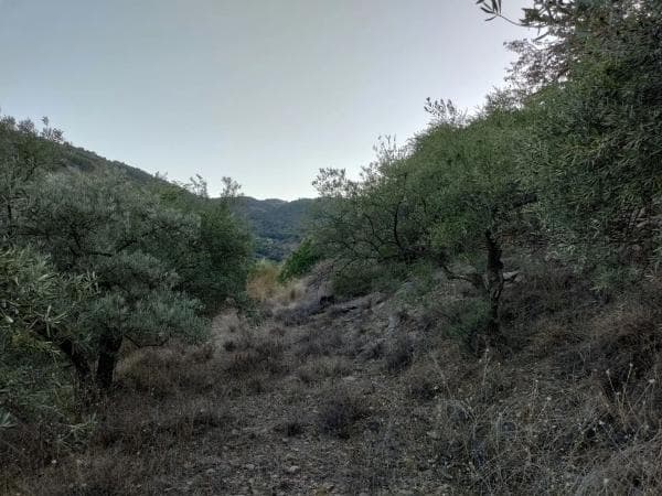 Terreno en carril de la Breña, km 8 thumbnail 1