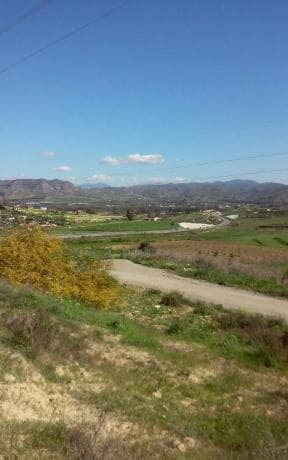 Terreno en carretera de la Dehesa Alta, km 2 thumbnail 2