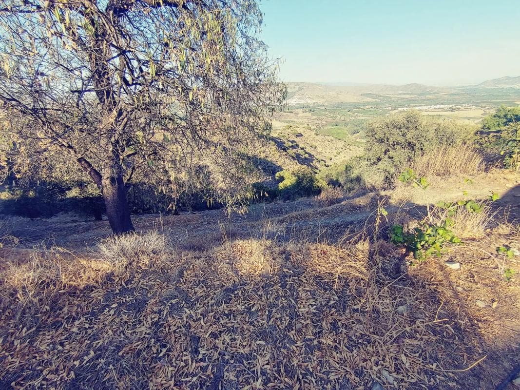 Terreno en venta en Pizarra, Malaga photo 3