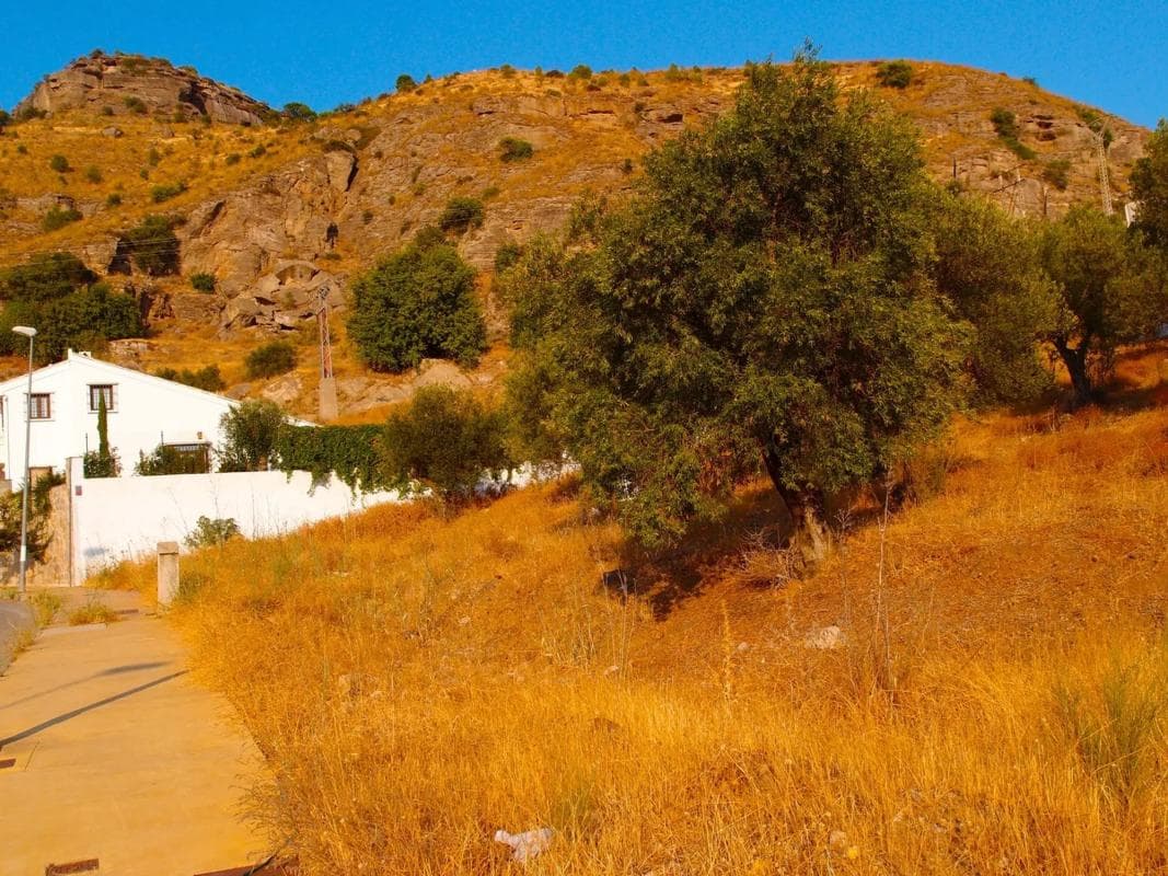 Terreno en venta en Pizarra, Malaga photo 3