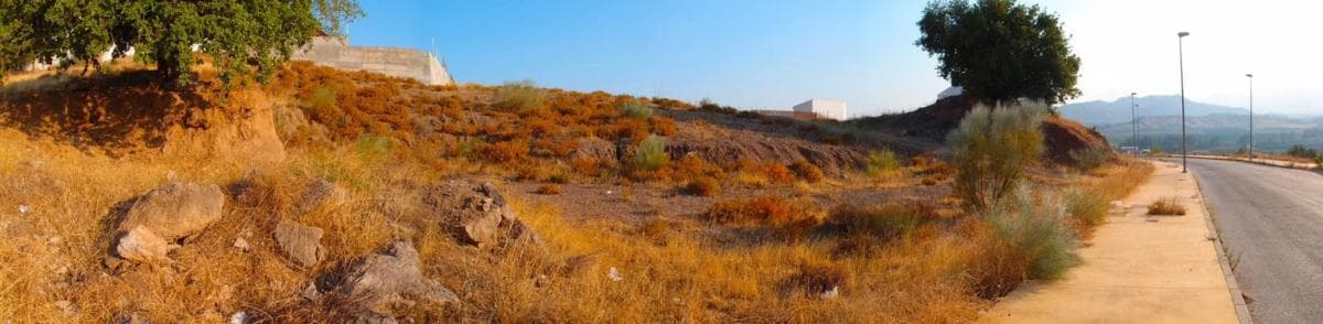 Terreno en venta en Pizarra, Malaga photo 4