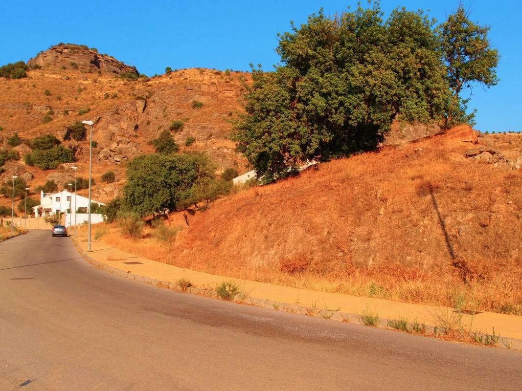 Terreno en venta en Pizarra, Malaga photo 5