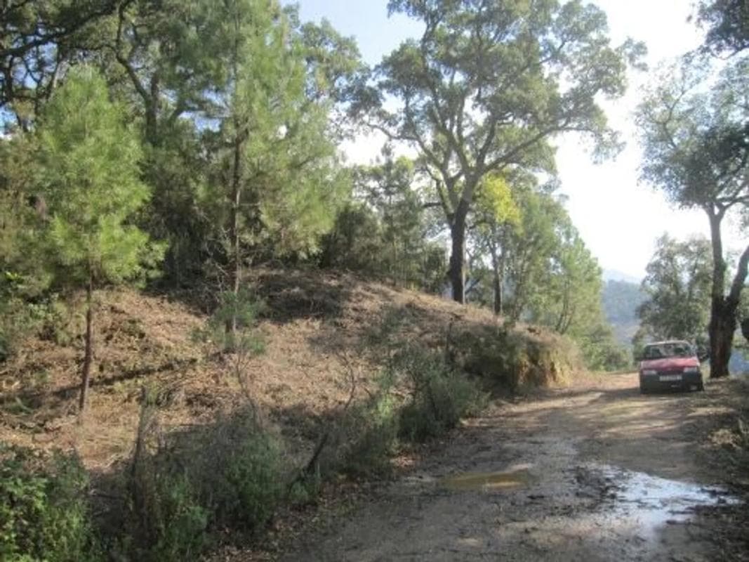 Terreno en venta en Benarraba, Malaga photo 2