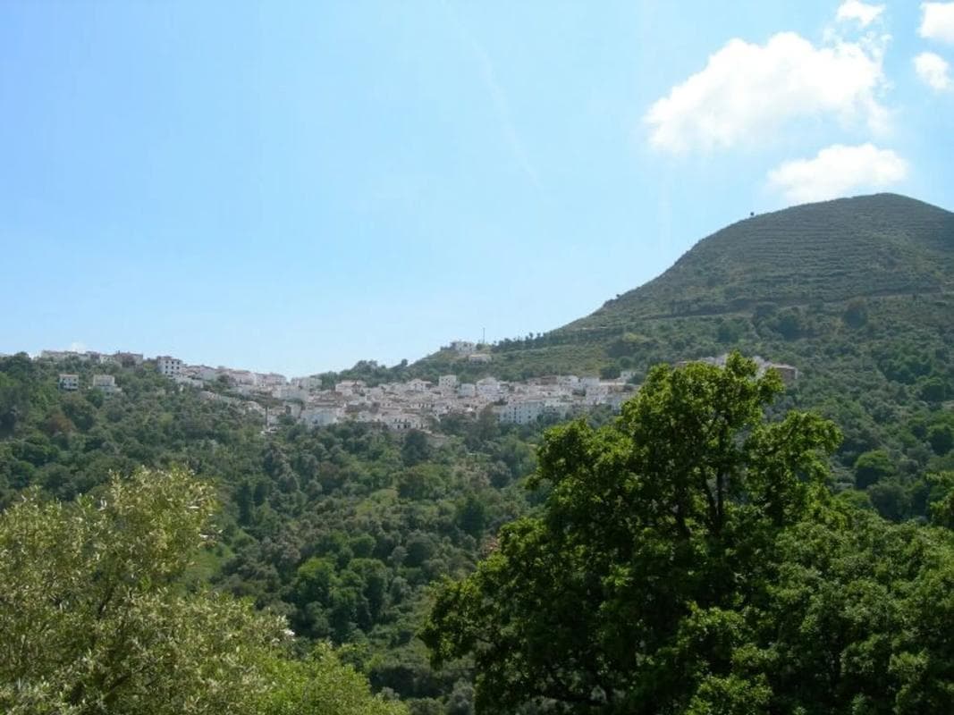 Terreno en venta en Benarraba, Malaga photo 4