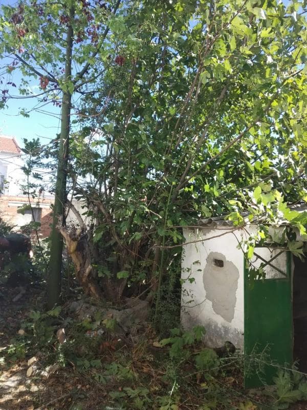 Terreno en venta en Villanueva de la Concepcion, Malaga photo 3