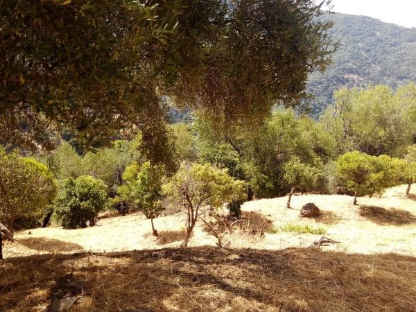 Terreno en campa solana, 14 photo 2