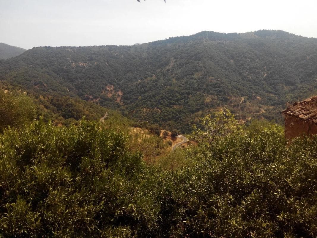 Terreno en venta en Jubrique, Malaga photo 3