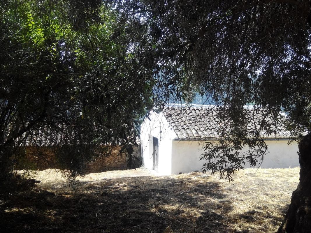 Terreno en venta en Jubrique, Malaga photo 4