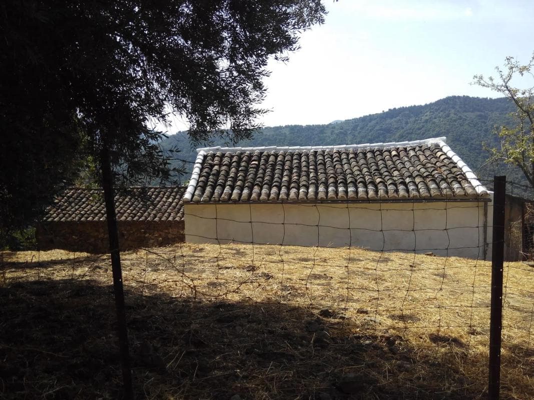 Terreno en venta en Jubrique, Malaga photo 5