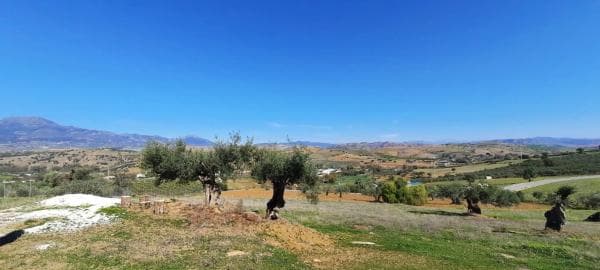 Terreno en camino Coin s/n photo 1