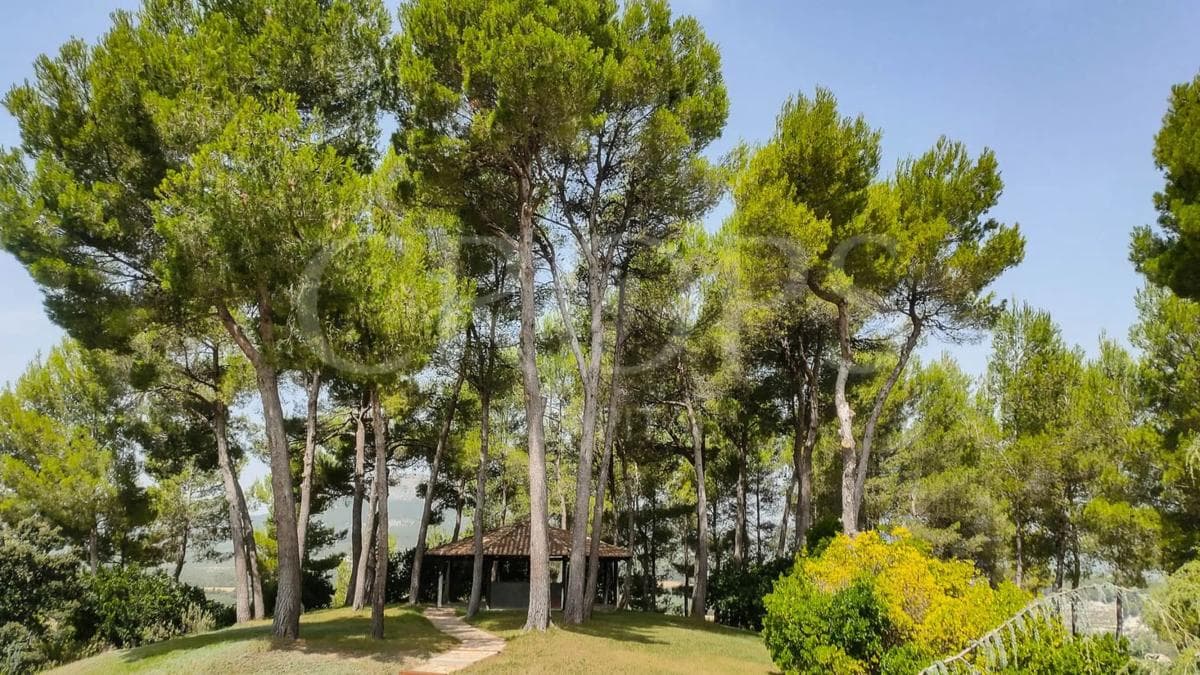 Propiedades en venta y alquiler en España photo 3