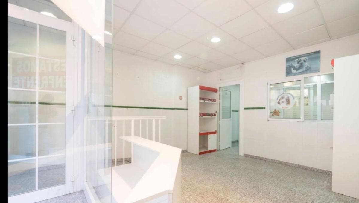 Properties for sale and rent in Spain photo 3