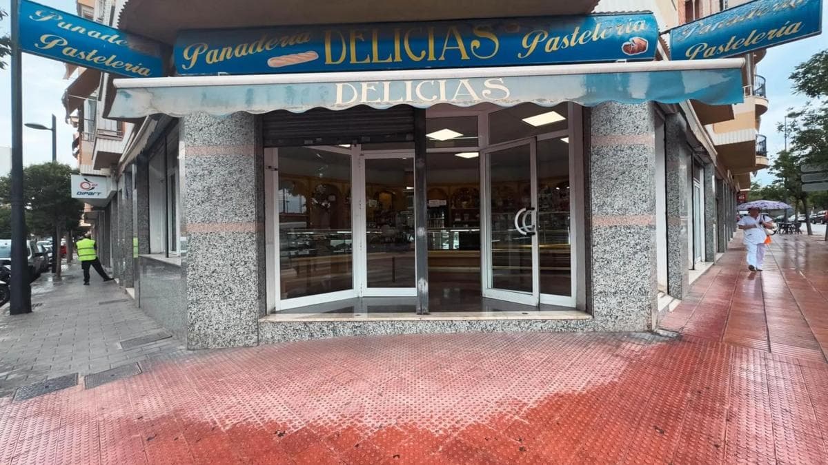 Propiedades en venta y alquiler en España photo 4