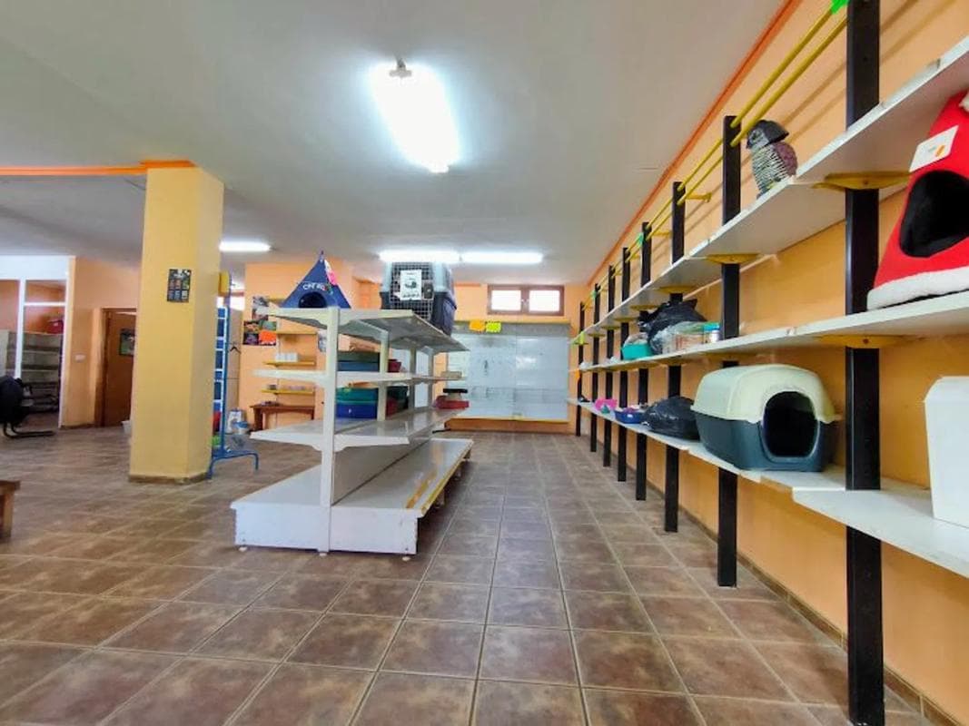 Propiedades en venta y alquiler en España photo 4
