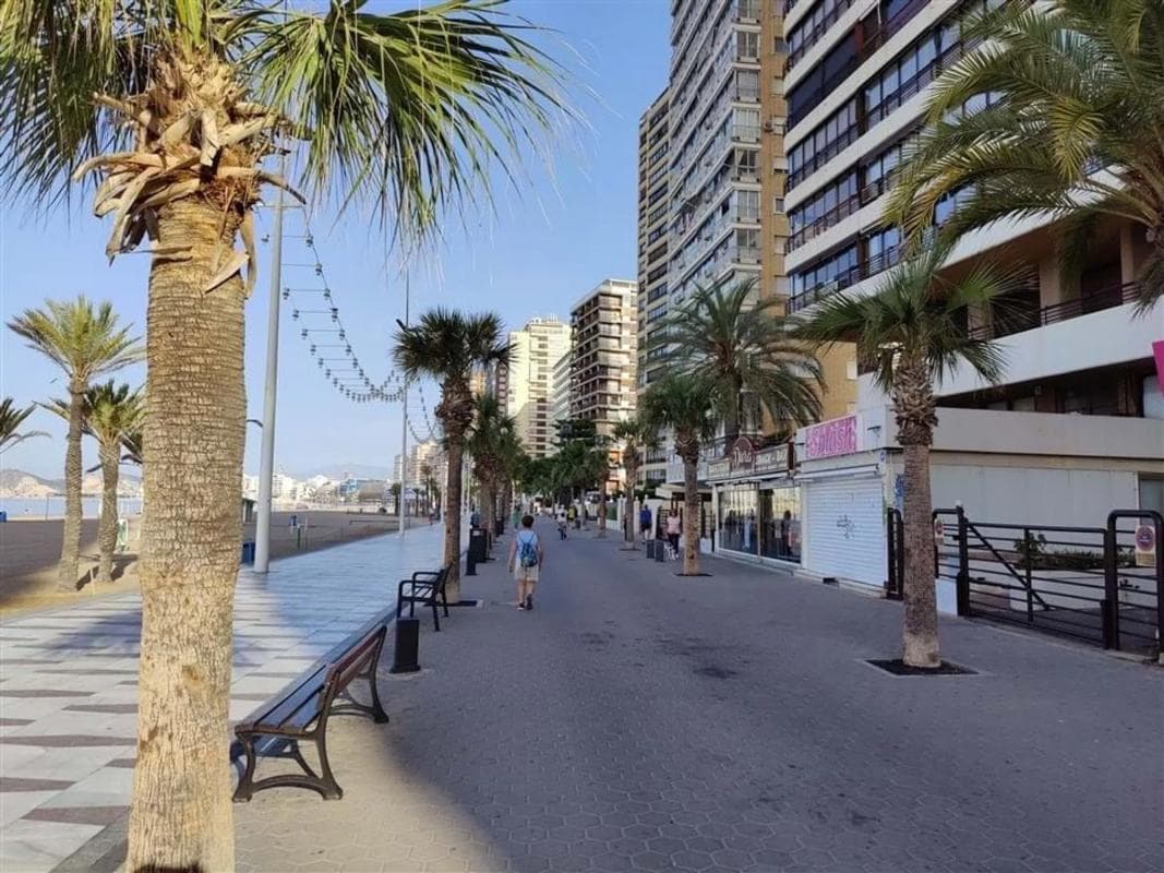 Properties for sale and rent in Spain photo 3
