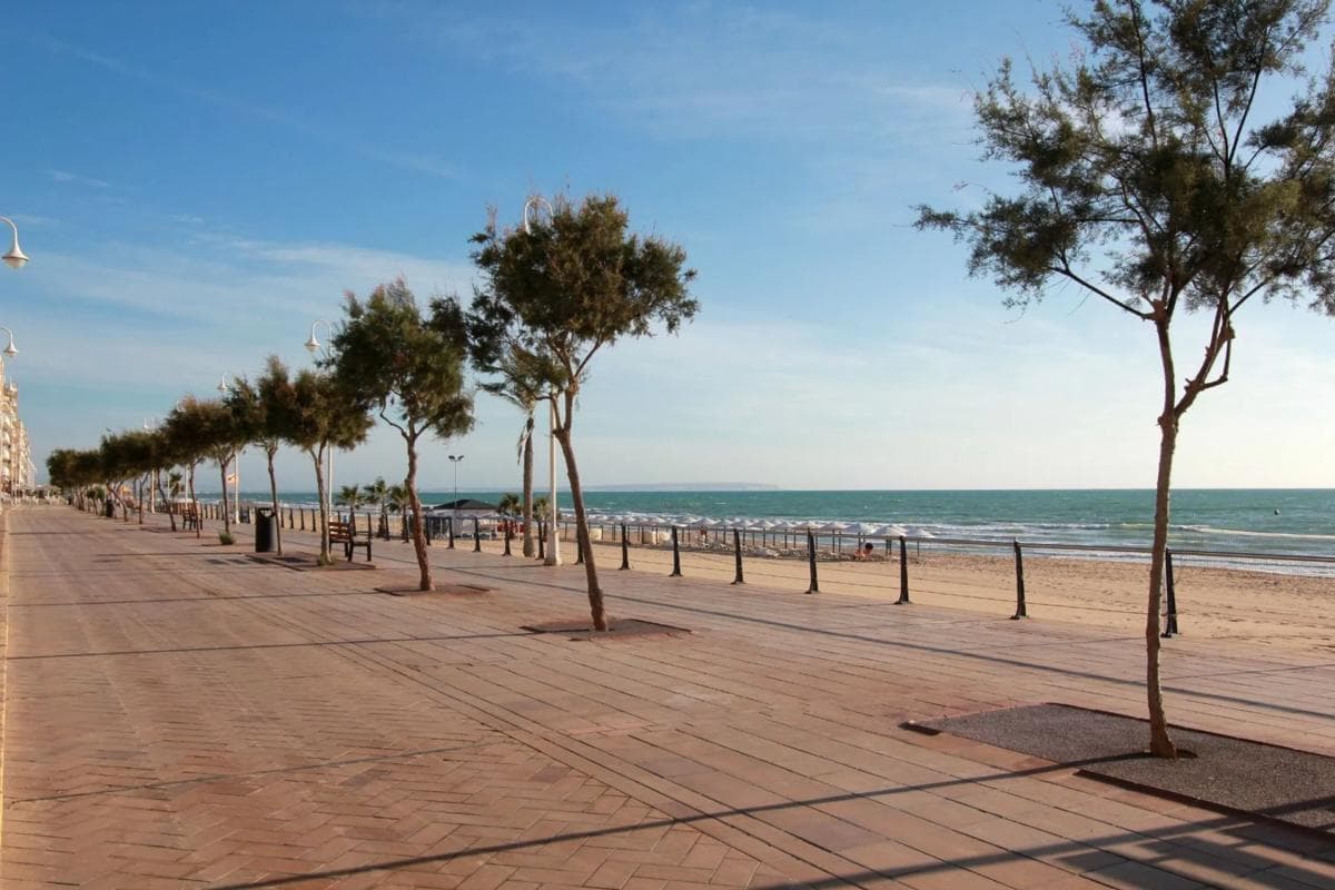 Продажа квартиры на Guardamar Playa, Гуардамар-дель-Сегура
photo 5