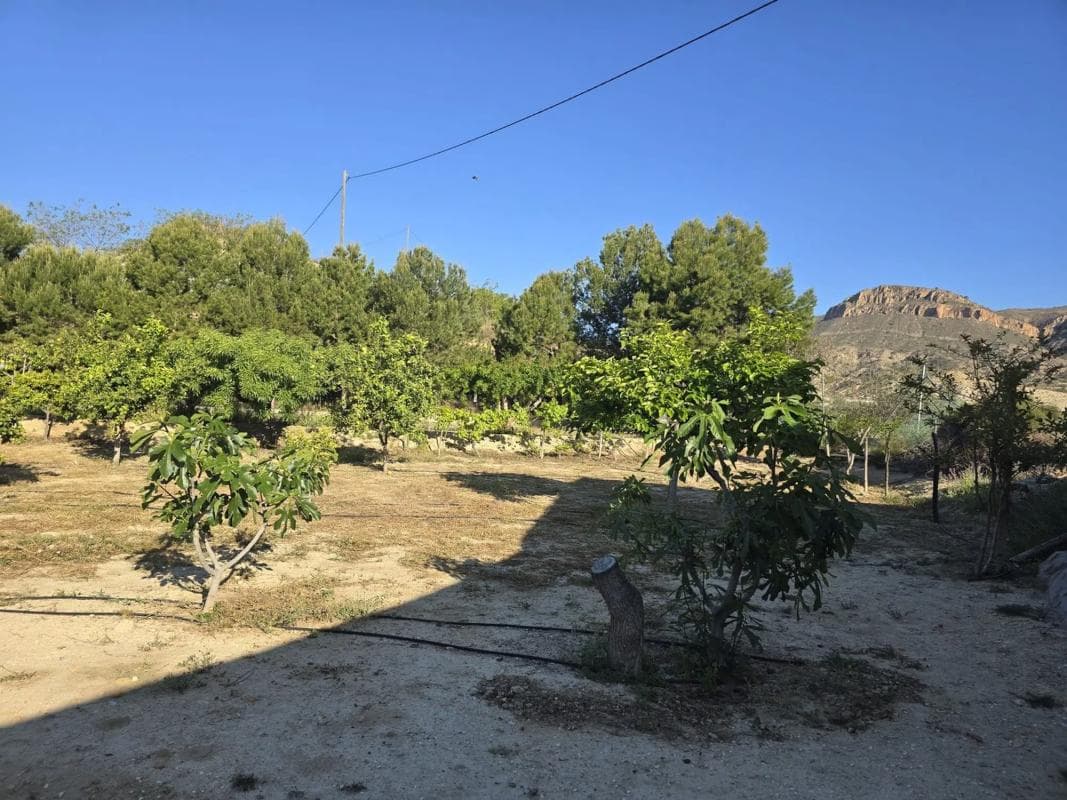 Propiedades en venta y alquiler en España photo 5