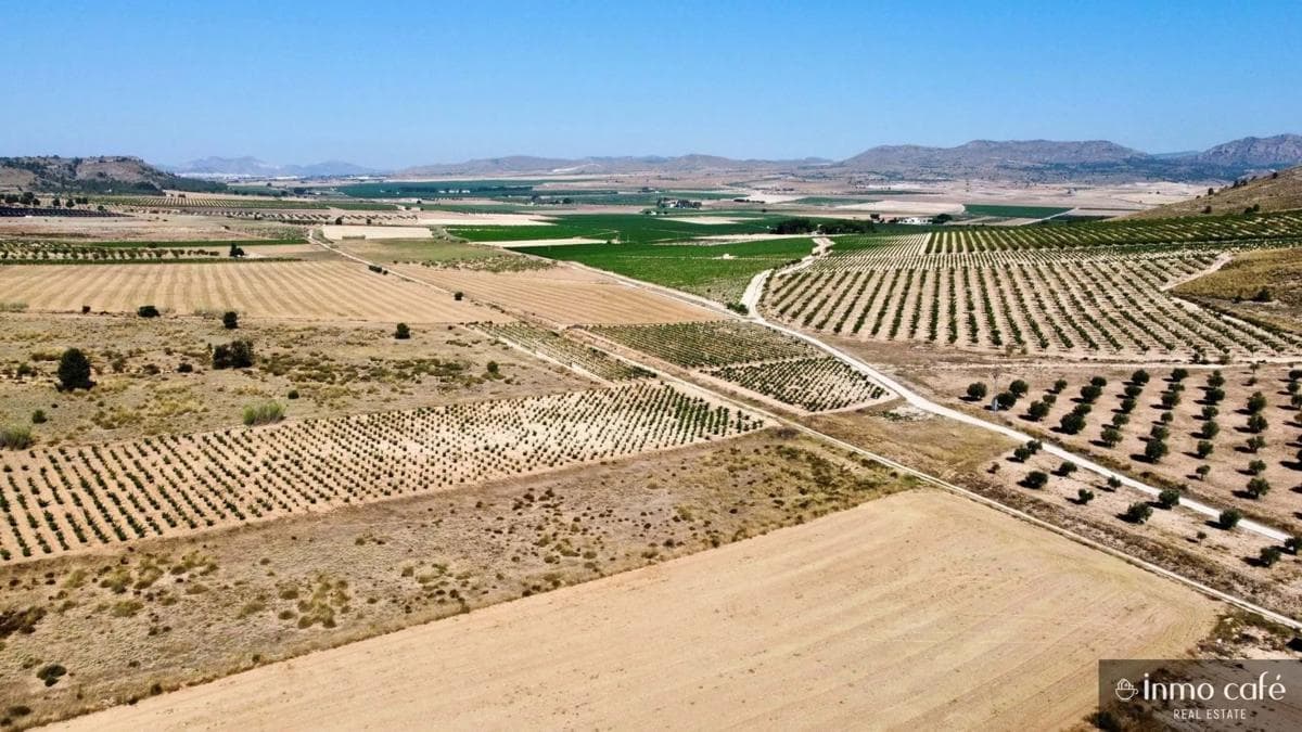 Terreno en venta en Villena, Alicante photo 2