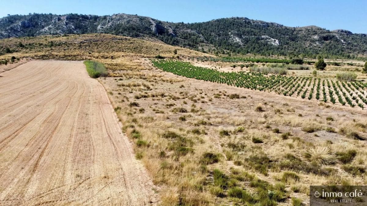 Terreno en venta en Villena, Alicante photo 3