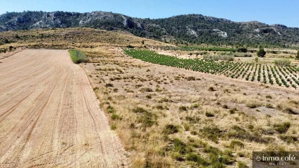Terreno en Parcela 39 Cabezo Poli. thumbnail 2