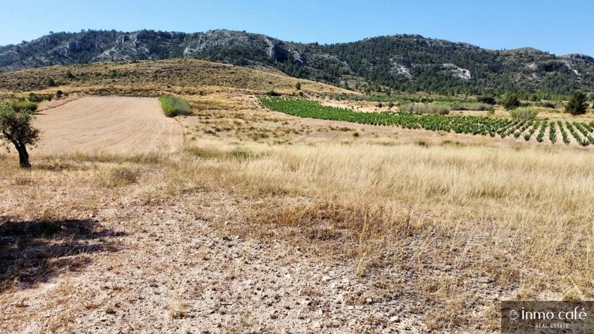 Terreno en venta en Villena, Alicante photo 4