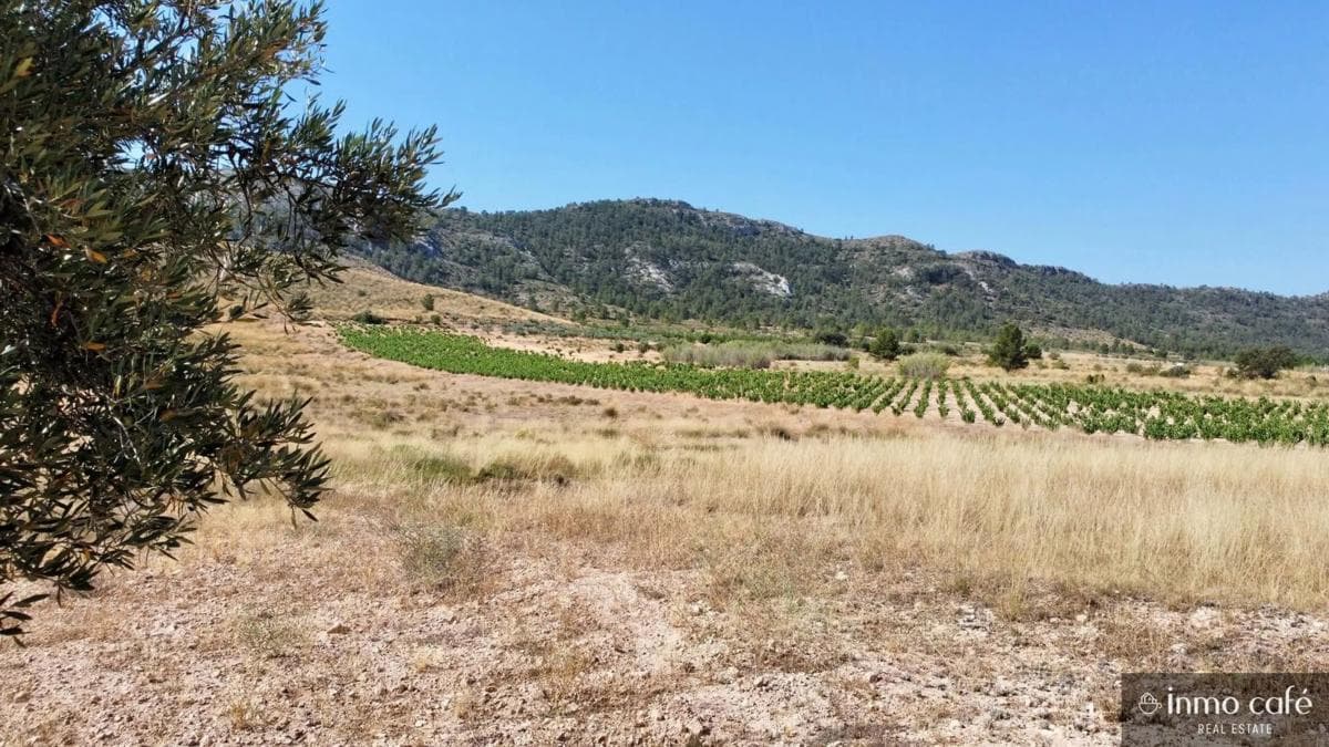 Terreno en venta en Villena, Alicante photo 5