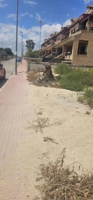 Terreno en venta en Bigastro, Alicante photo 4