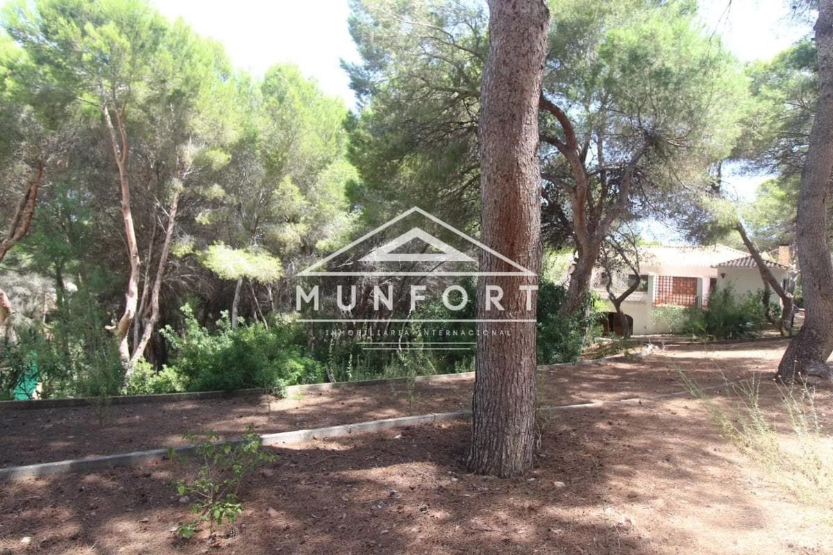 Terreno en venta en Orihuela, Alicante photo 4