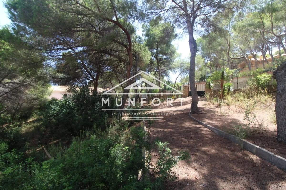 Terreno en venta en Orihuela, Alicante photo 5
