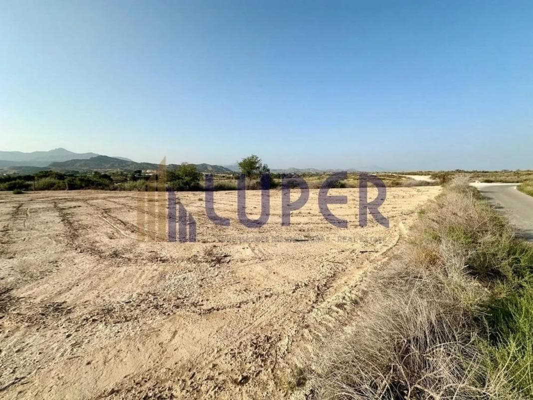 Terreno en venta en San Vicente del Raspeig, Alicante photo 4