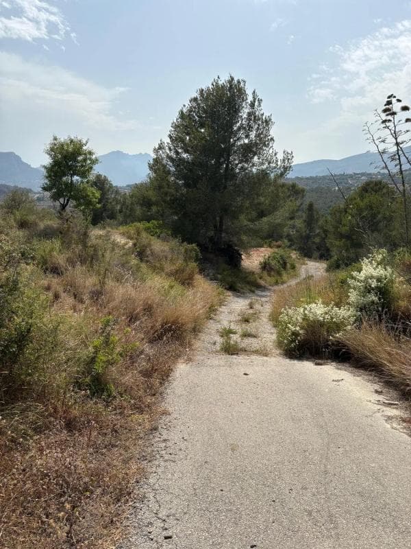 Terreno en venta en Benissa, Alicante photo 2