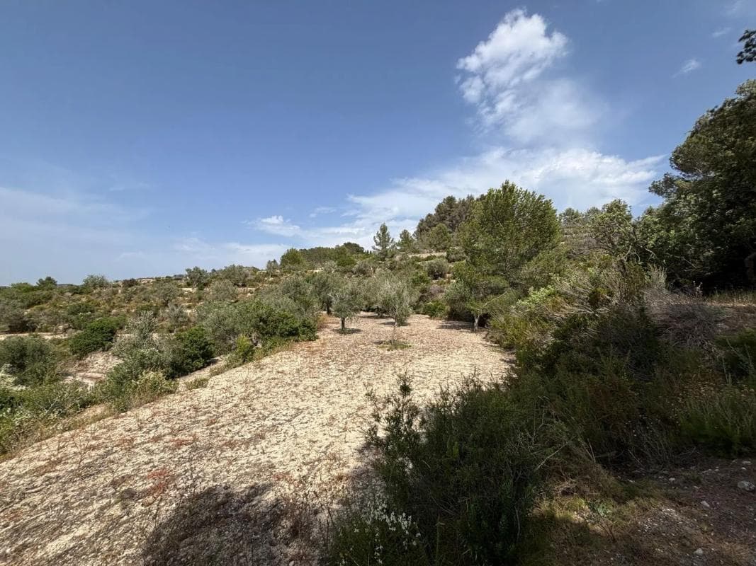 Terreno en venta en Benissa, Alicante photo 3
