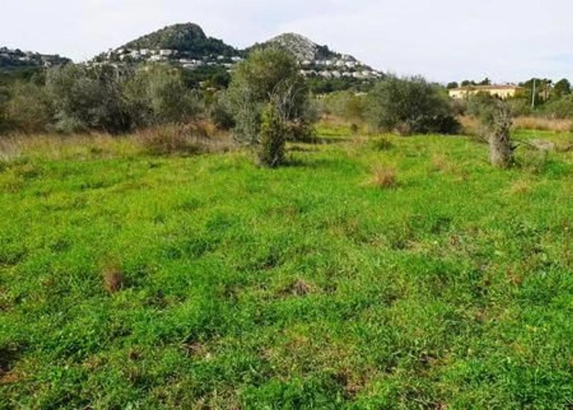 Terreno en venta en Pedreguer, Alicante photo 4