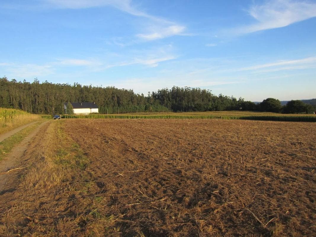 Land for sale in A Baña, A Coruña photo 4