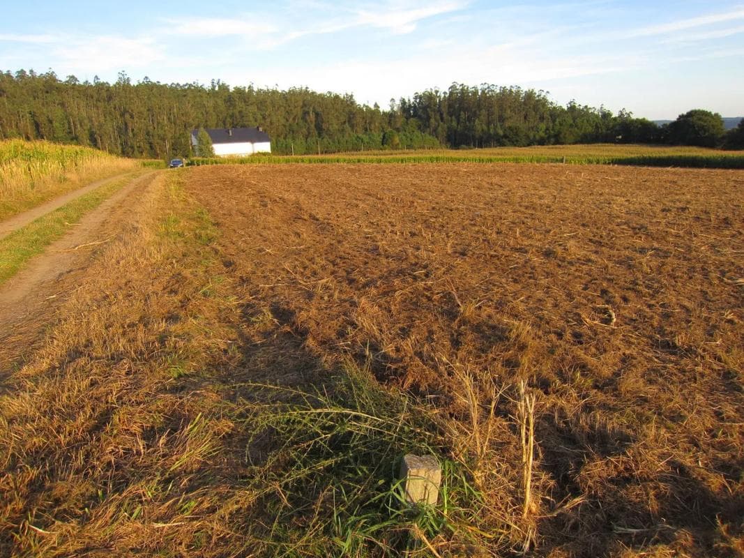 Land for sale in A Baña, A Coruña photo 5