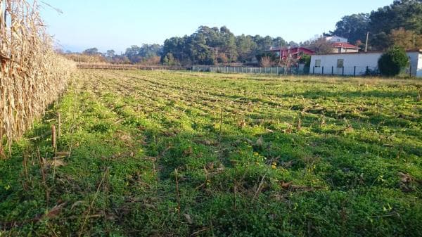 Terreno en calle as Mangas, 49 photo 1