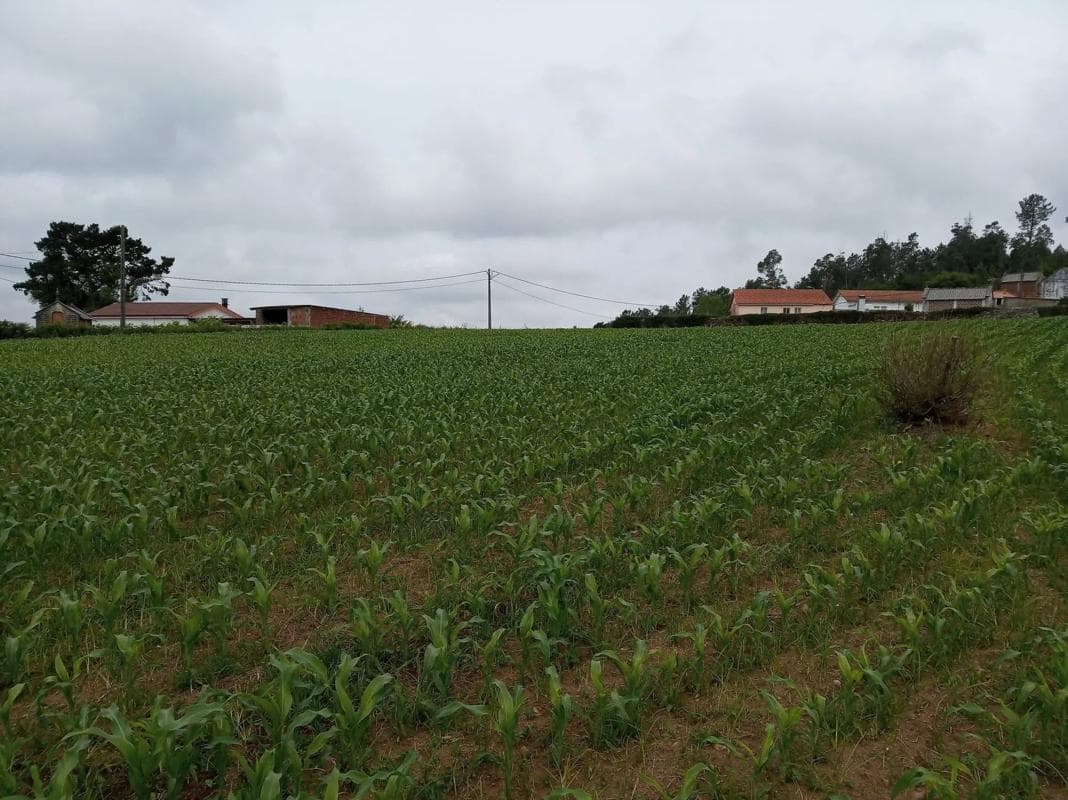Terreno en venta en Carballo, A Coruña photo 2