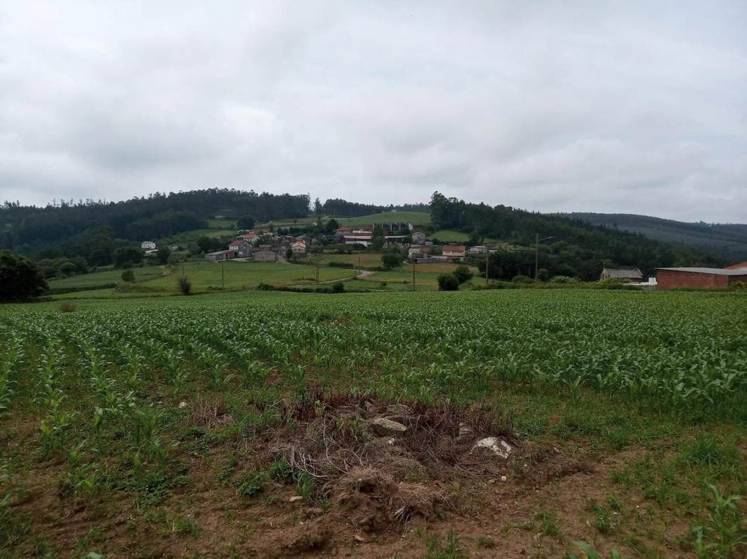 Terreno en venta en Carballo, A Coruña photo 3